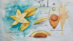 carambola_07
